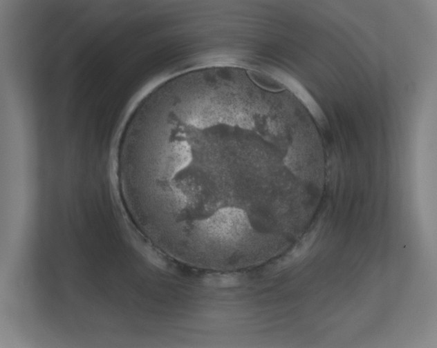 X0000110881051200906251245