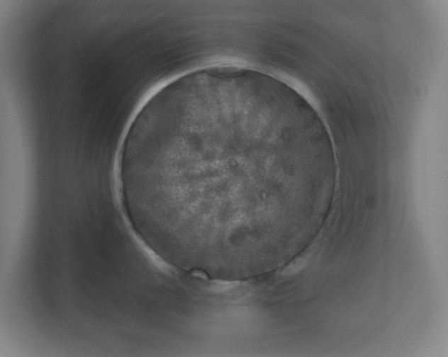 X0000110881056200906251245