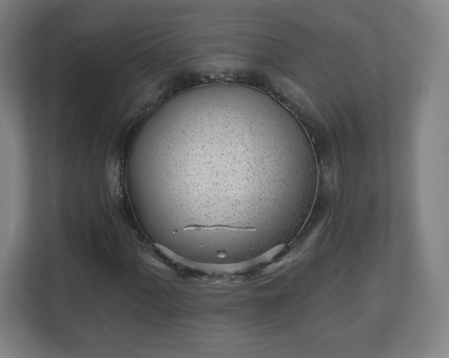 X0000110881060200906251244