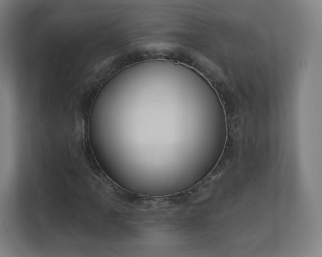 X0000110881061200906251244