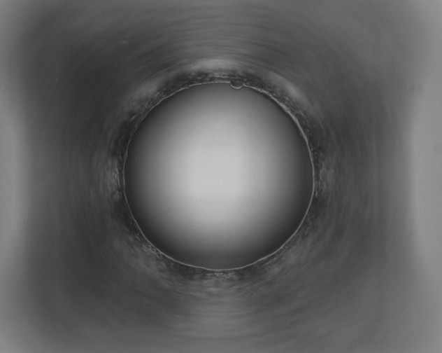 X0000110881062200906251244