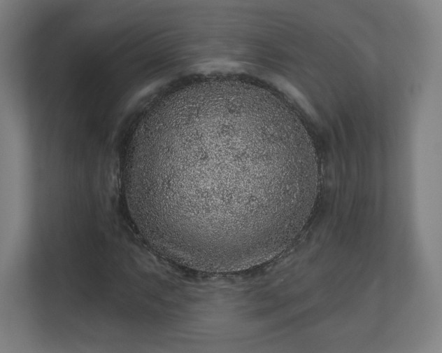 X0000110881063200906251244