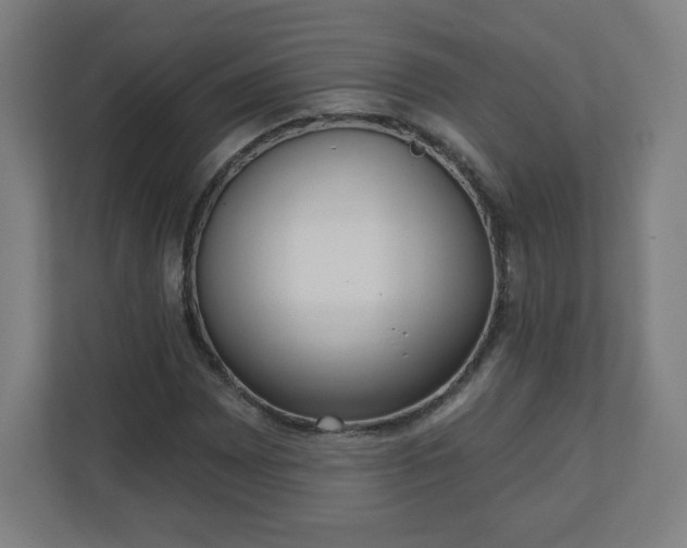 X0000110881065200906251244