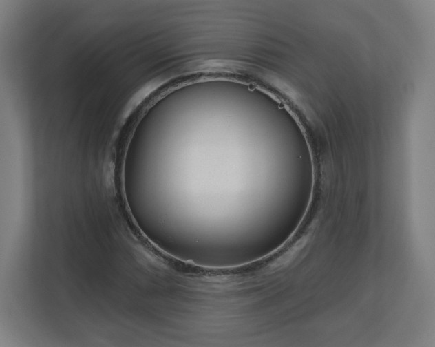 X0000110881066200906251244