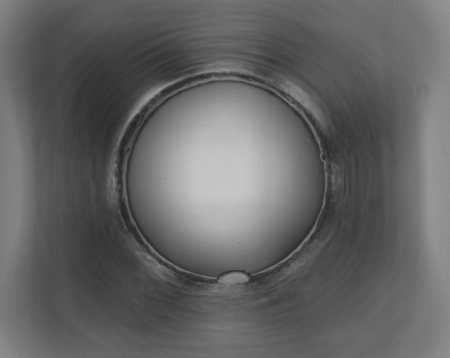X0000110881068200906251244