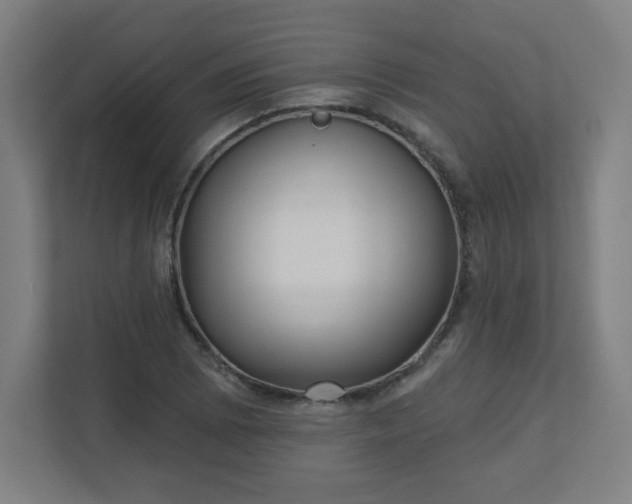 X0000110881073200906251244