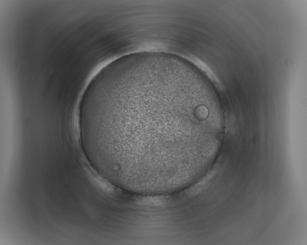 X0000110881078200906251244