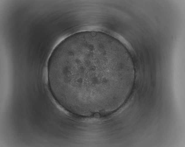 X0000110881079200906251244