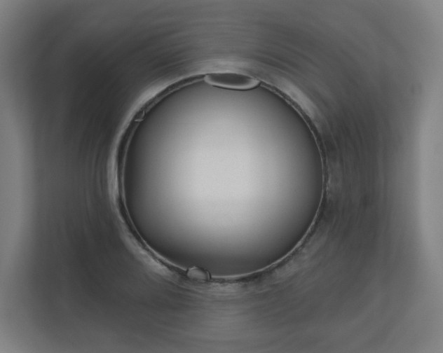 X0000110881080200906251244
