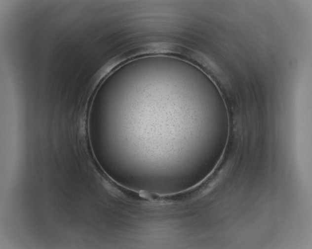 X0000110881081200906251244