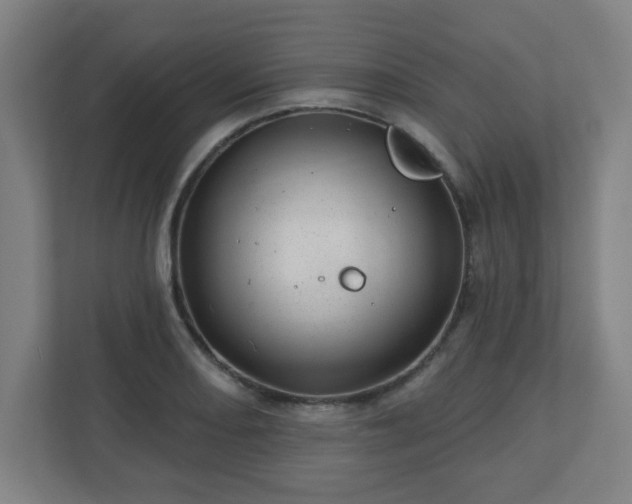 X0000110881082200906251244