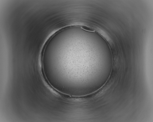 X0000110881084200906251244