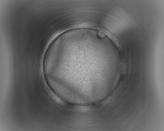 X0000110881086200906251244