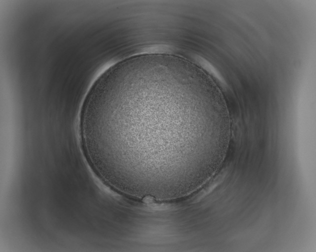 X0000110881087200906251244
