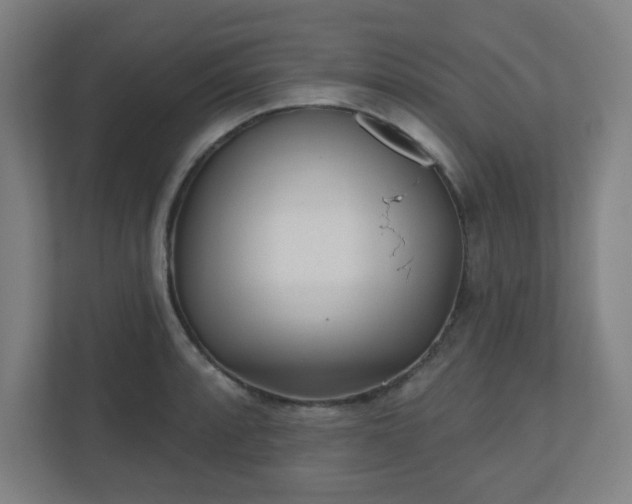X0000110881088200906251244