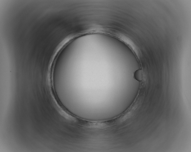 X0000110881090200906251244
