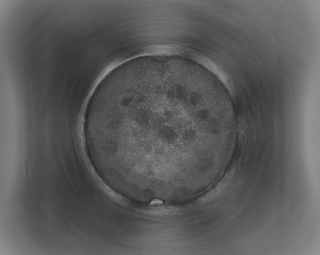 X0000110881091200906251244