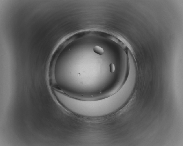 X0000110881093200906251244