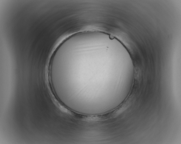 X0000110881094200906251244