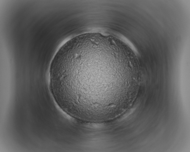 X0000110881095200906251244