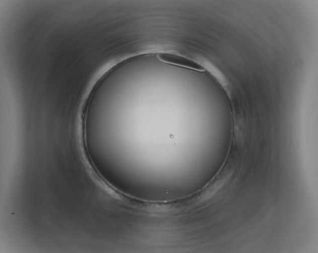 X0000110881096200906251244