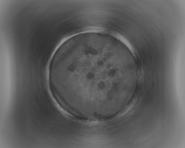 X0000110881099200906251244