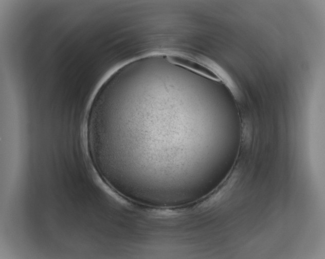 X0000110881100200906251244