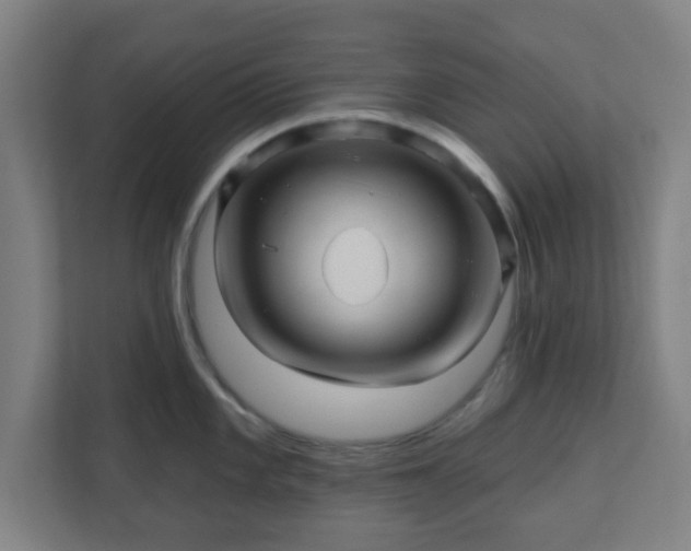 X0000110881101200906251244