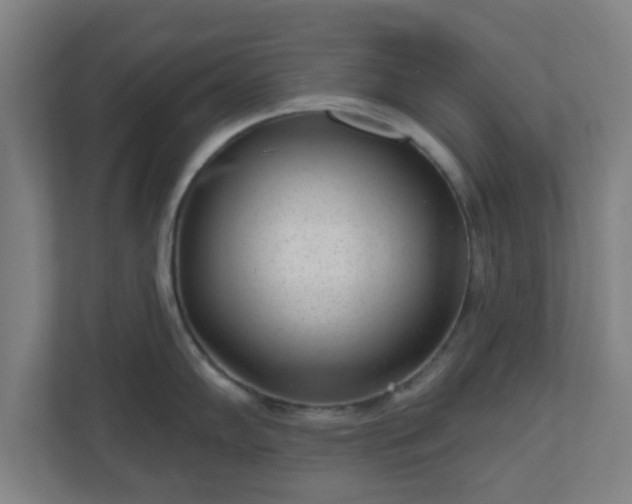 X0000110881102200906251244