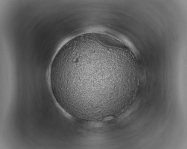 X0000110881103200906251244