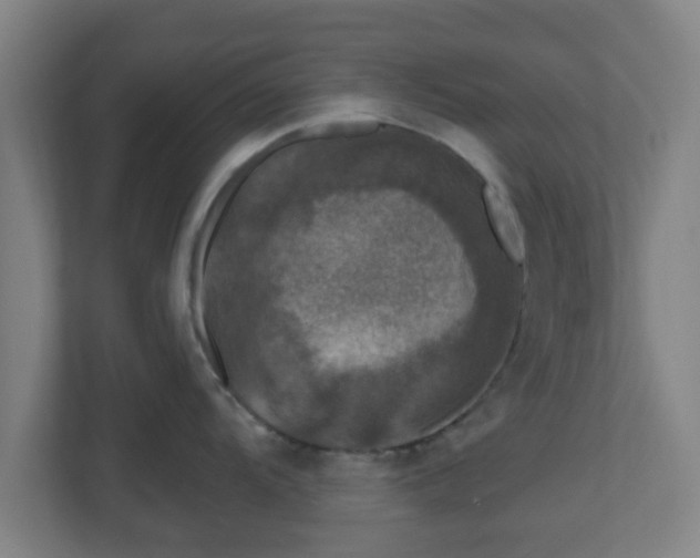 X0000110881104200906251244