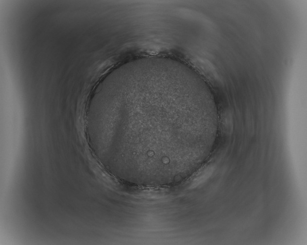X0000110881105200906251243