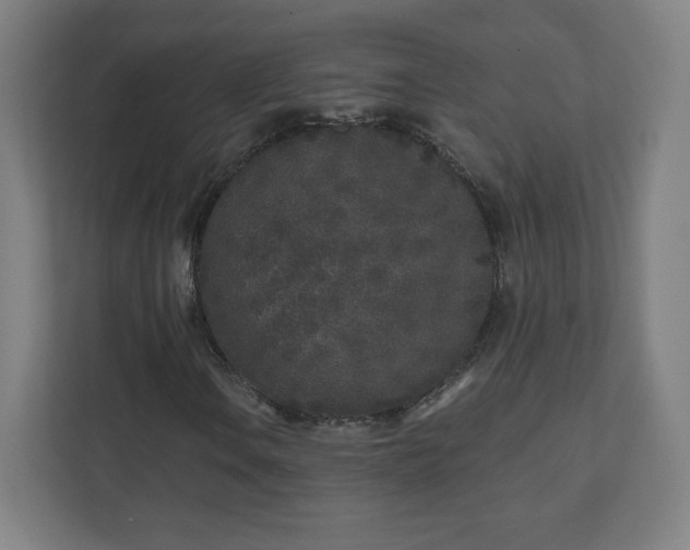 X0000110881106200906251243