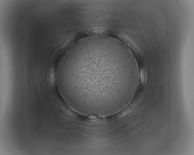 X0000110881107200906251243