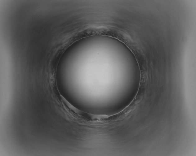 X0000110881109200906251243