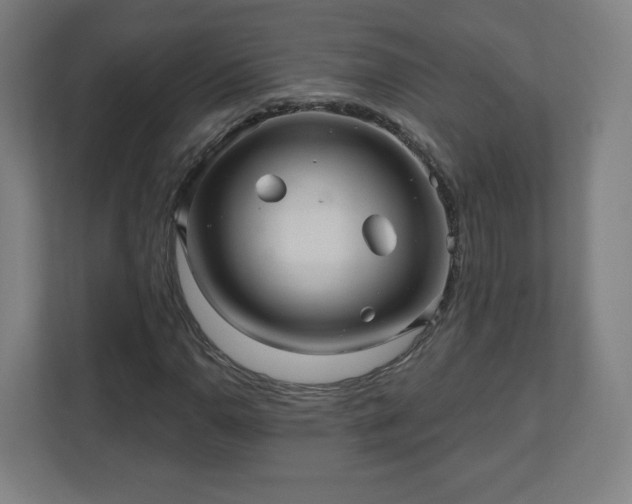 X0000110881110200906251243