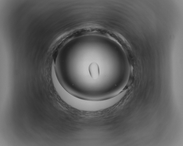 X0000110881112200906251243
