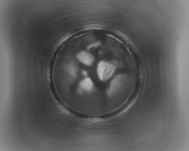 X0000110881113200906251243