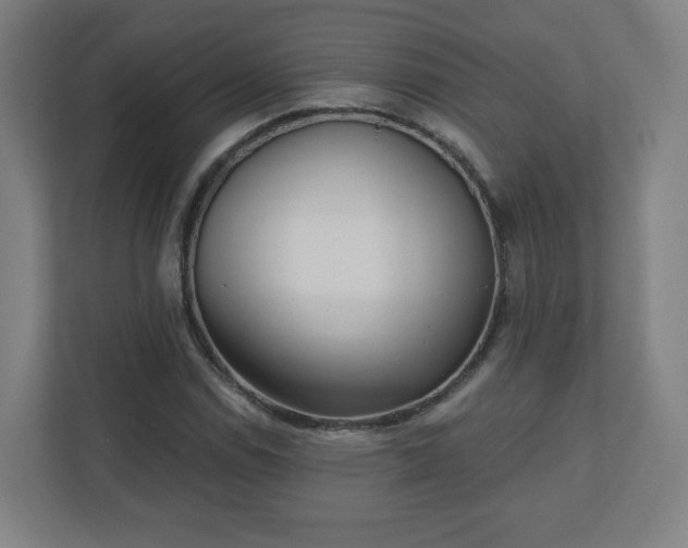 X0000110881114200906251243