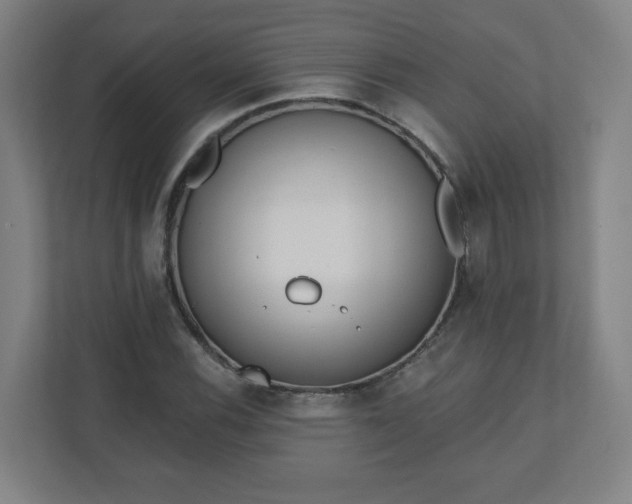 X0000110881116200906251243