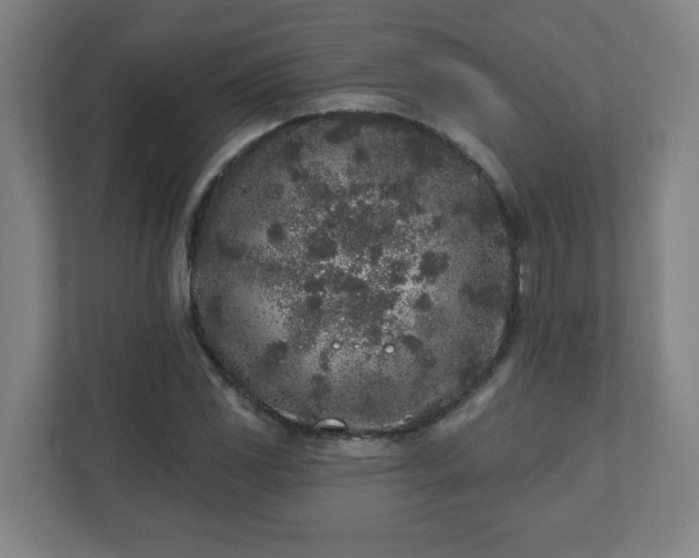X0000110881117200906251243