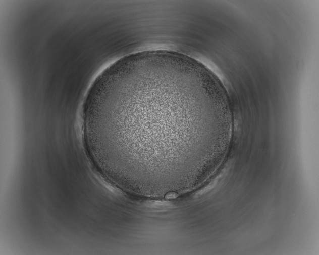 X0000110881119200906251243