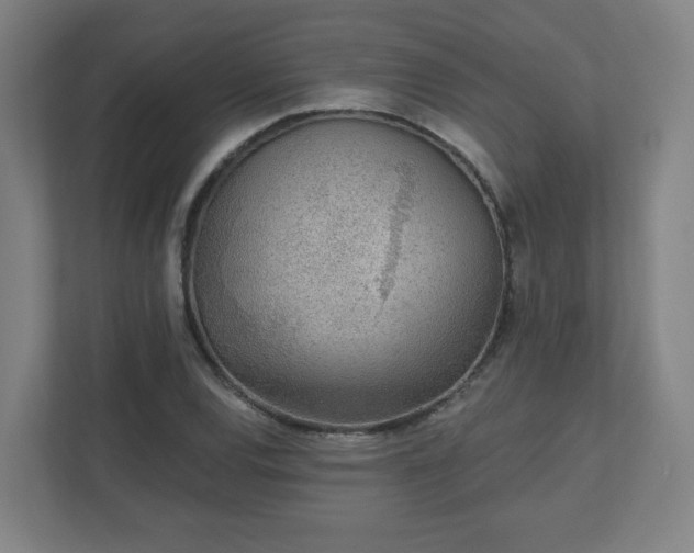 X0000110881120200906251243
