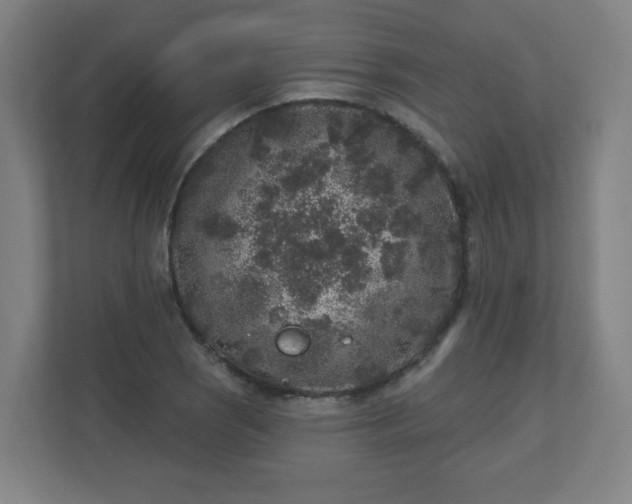 X0000110881121200906251243