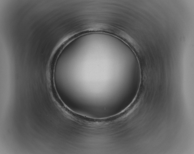 X0000110881122200906251243