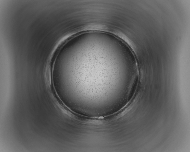 X0000110881123200906251243