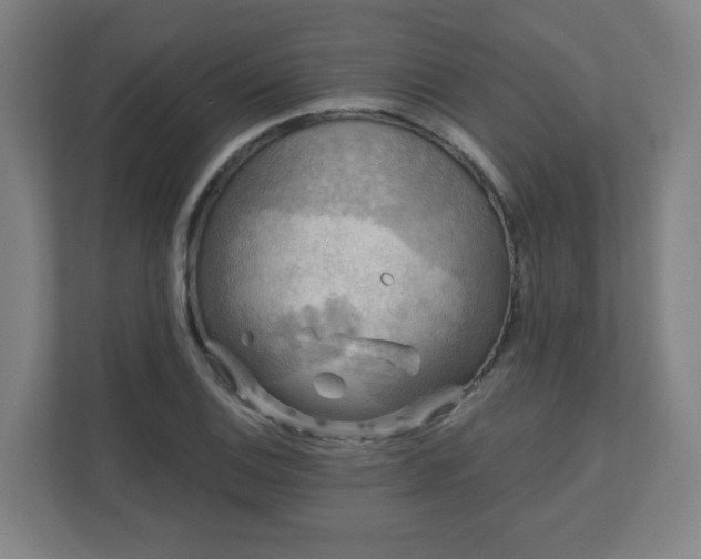 X0000110881124200906251243