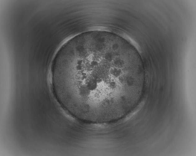 X0000110881125200906251243