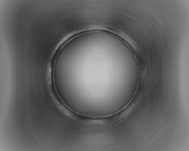 X0000110881126200906251243