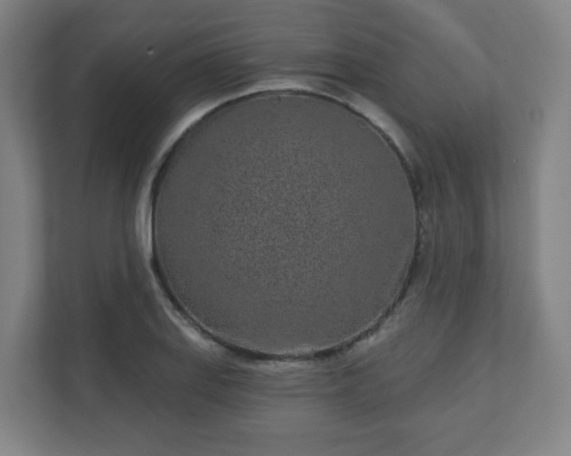X0000110881127200906251243